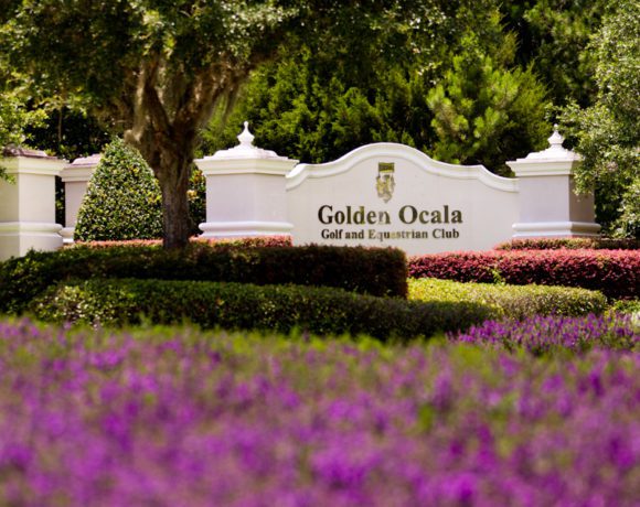 Equine Development Planned Near Golden Ocala Equine Development Planned Near Golden Ocala