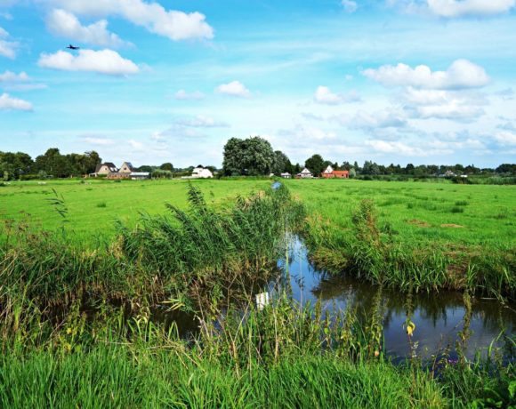NAHB Supports Executive Order on “Waters Of The United States” Rule NAHB Supports Executive Order on “Waters Of The United States” Rule