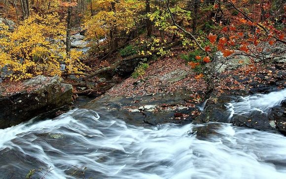 EPA Seeks Public Comment on WOTUS Revision EPA Seeks Public Comment on WOTUS Revision