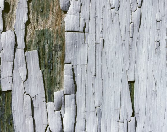 EPA Waives Lead Paint Requirements for Certain Renovations EPA Waives Lead Paint Requirements for Certain Renovations