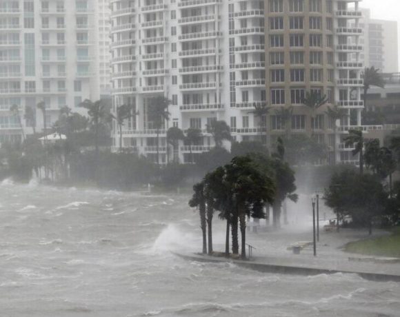 Did You Survive Irma in South Florida Without a Scratch? Send a Kiss to Your Builder Did You Survive Irma in South Florida Without a Scratch? Send a Kiss to Your Builder
